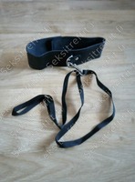 Petplay Lemmikki